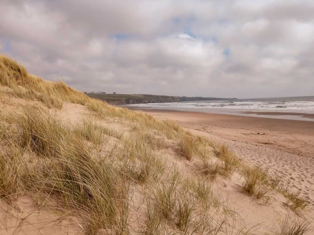 angus coast pink sand beach