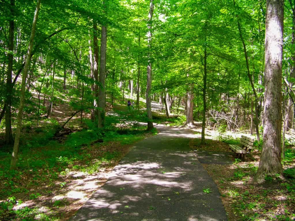 south carolina kings mountain 01 forest battleground